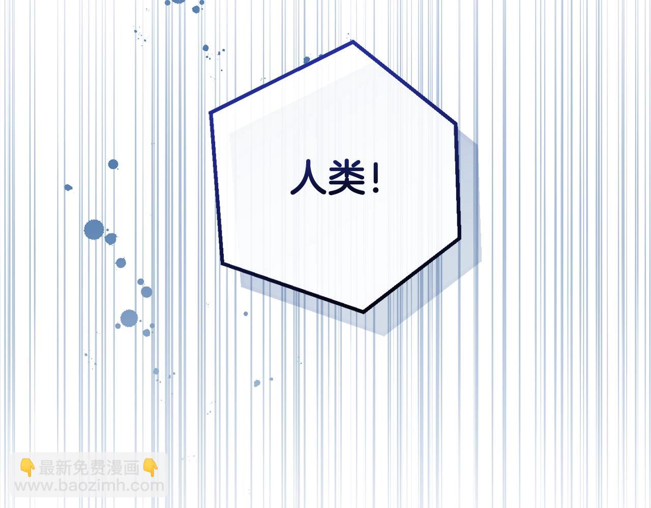 第118话 行动开始248