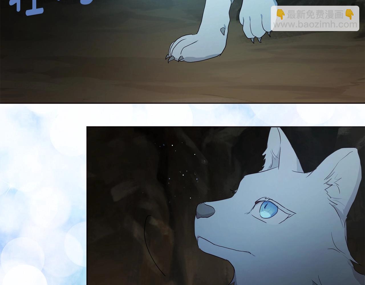第105话 魔力结界44