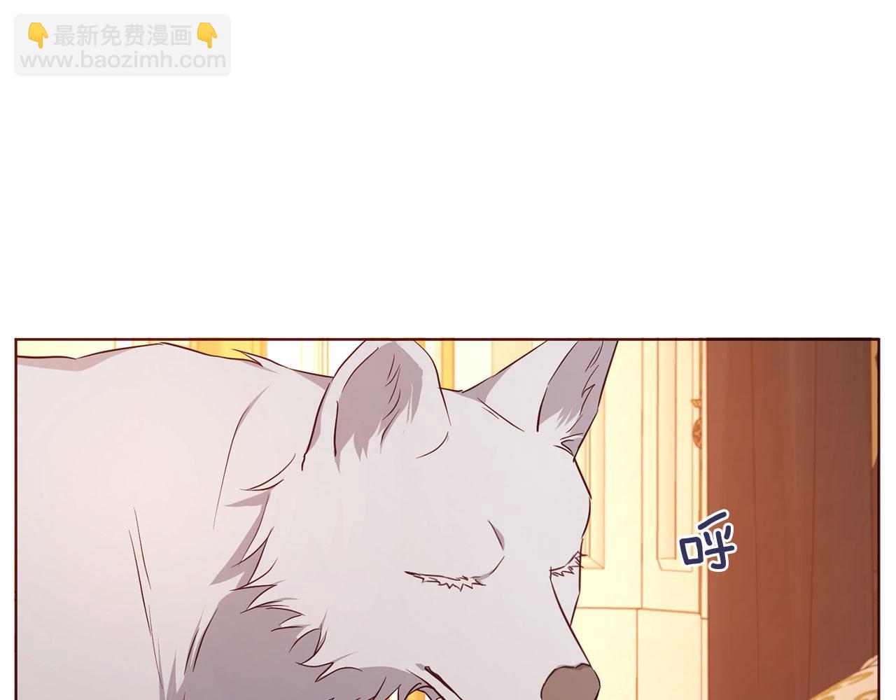 第135话 过度保护117