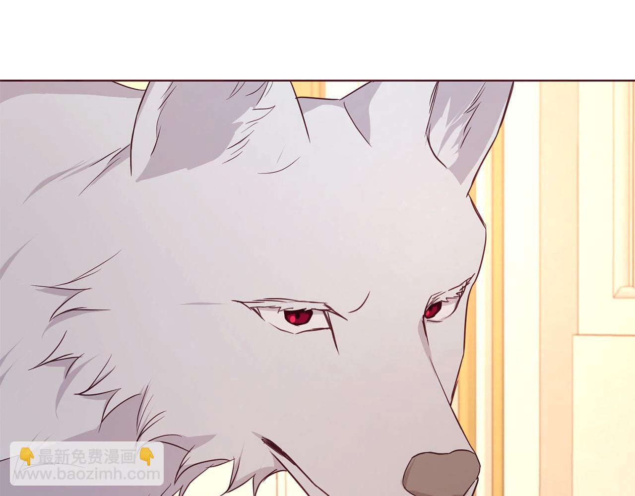 第135话 过度保护119