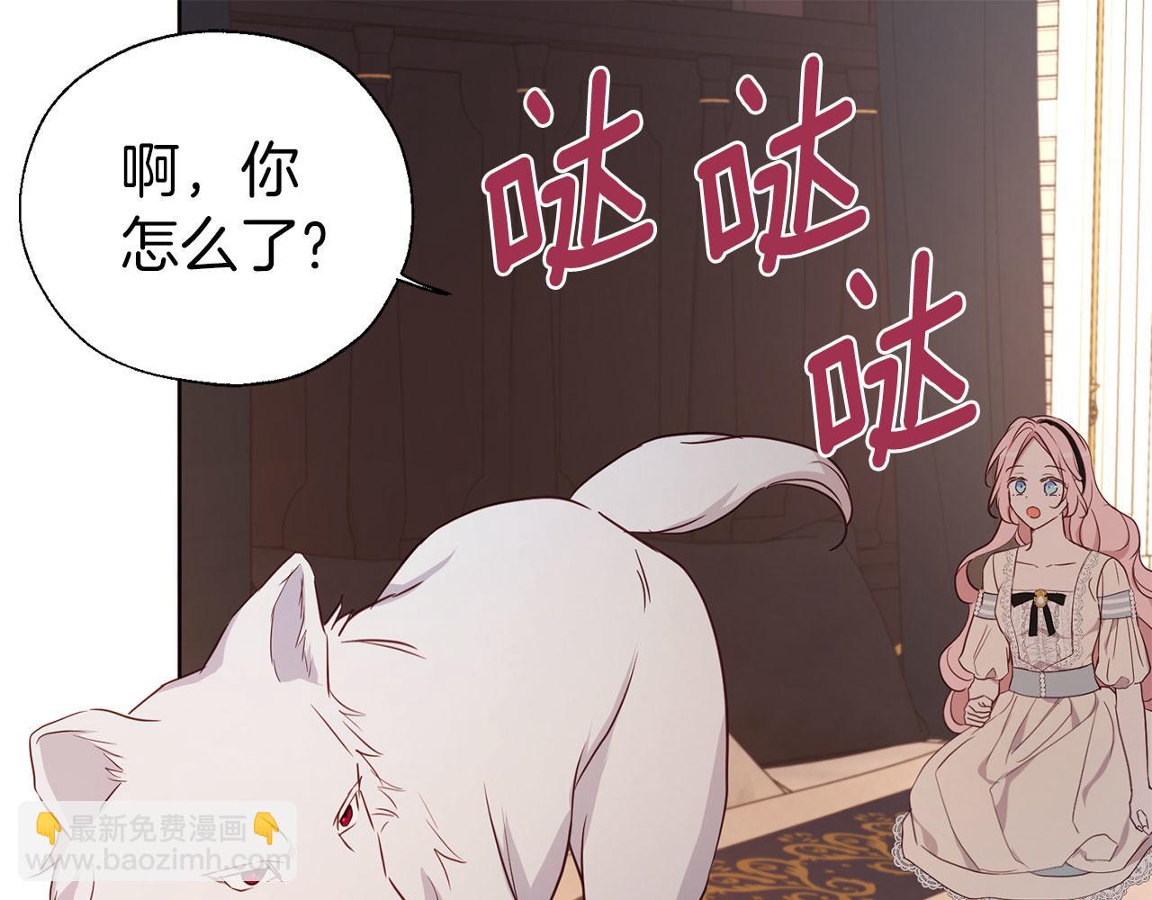 第135话 过度保护137