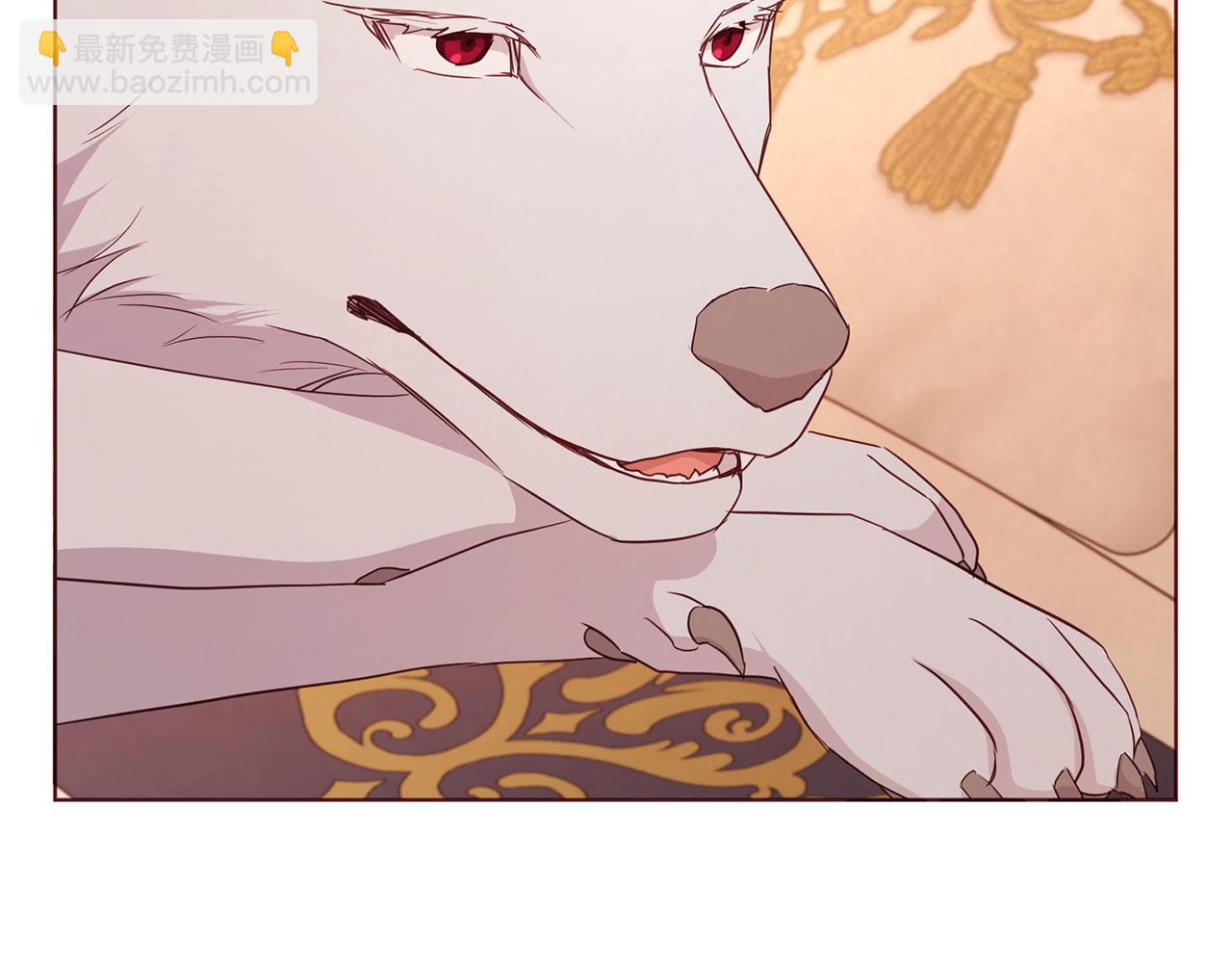 第135话 过度保护94