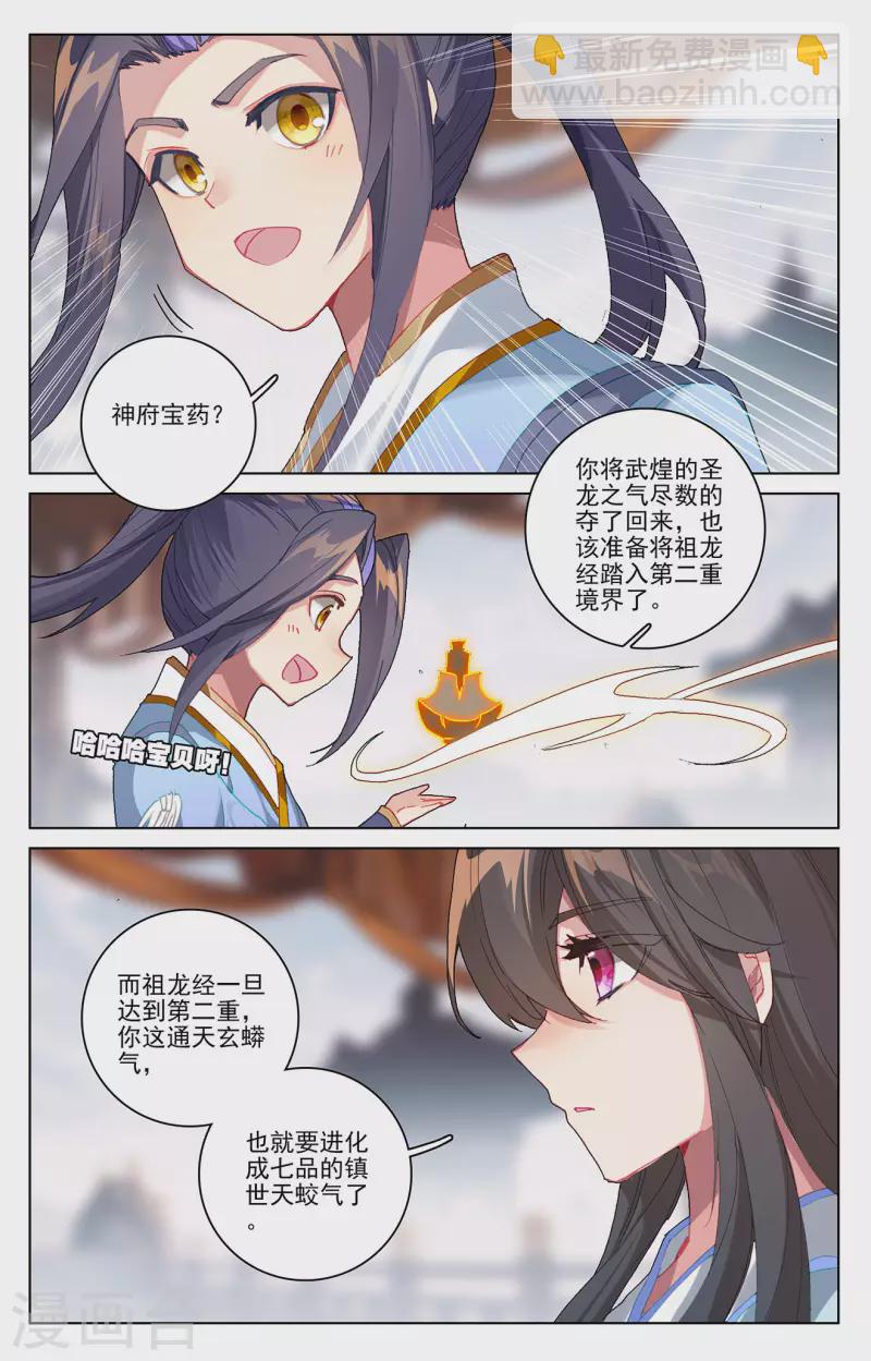 第339话下 神府宝药3