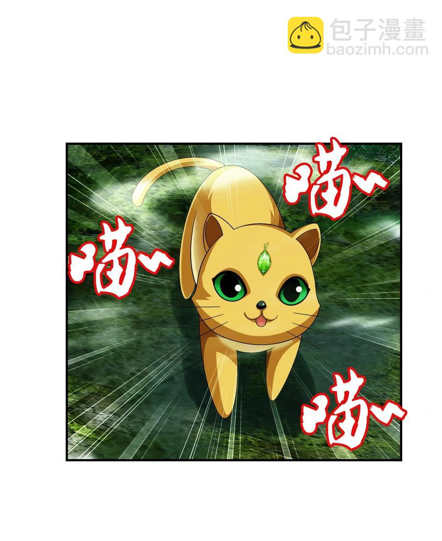 493 小猫？咪？27