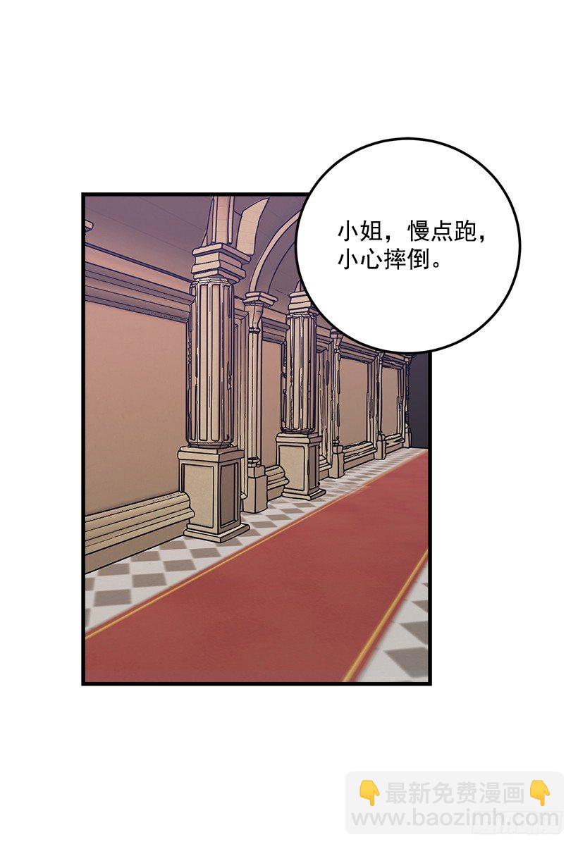 贴身骑士埃默尔2