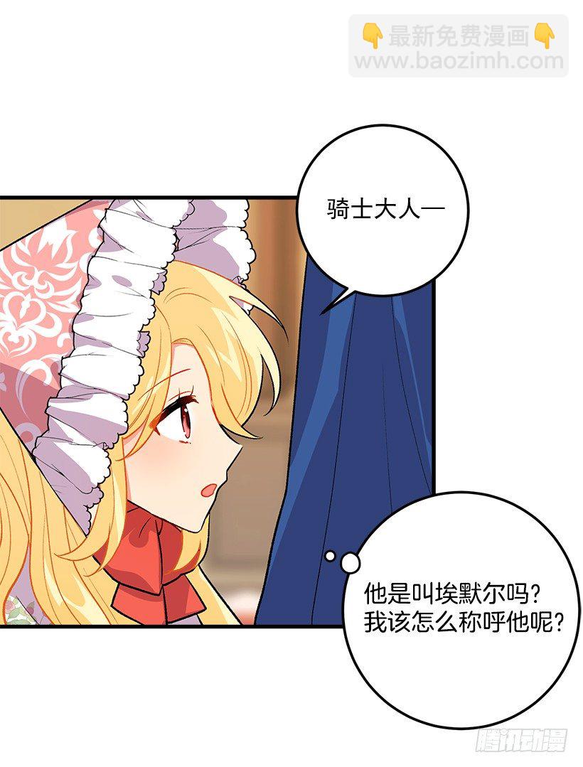 贴身骑士埃默尔3