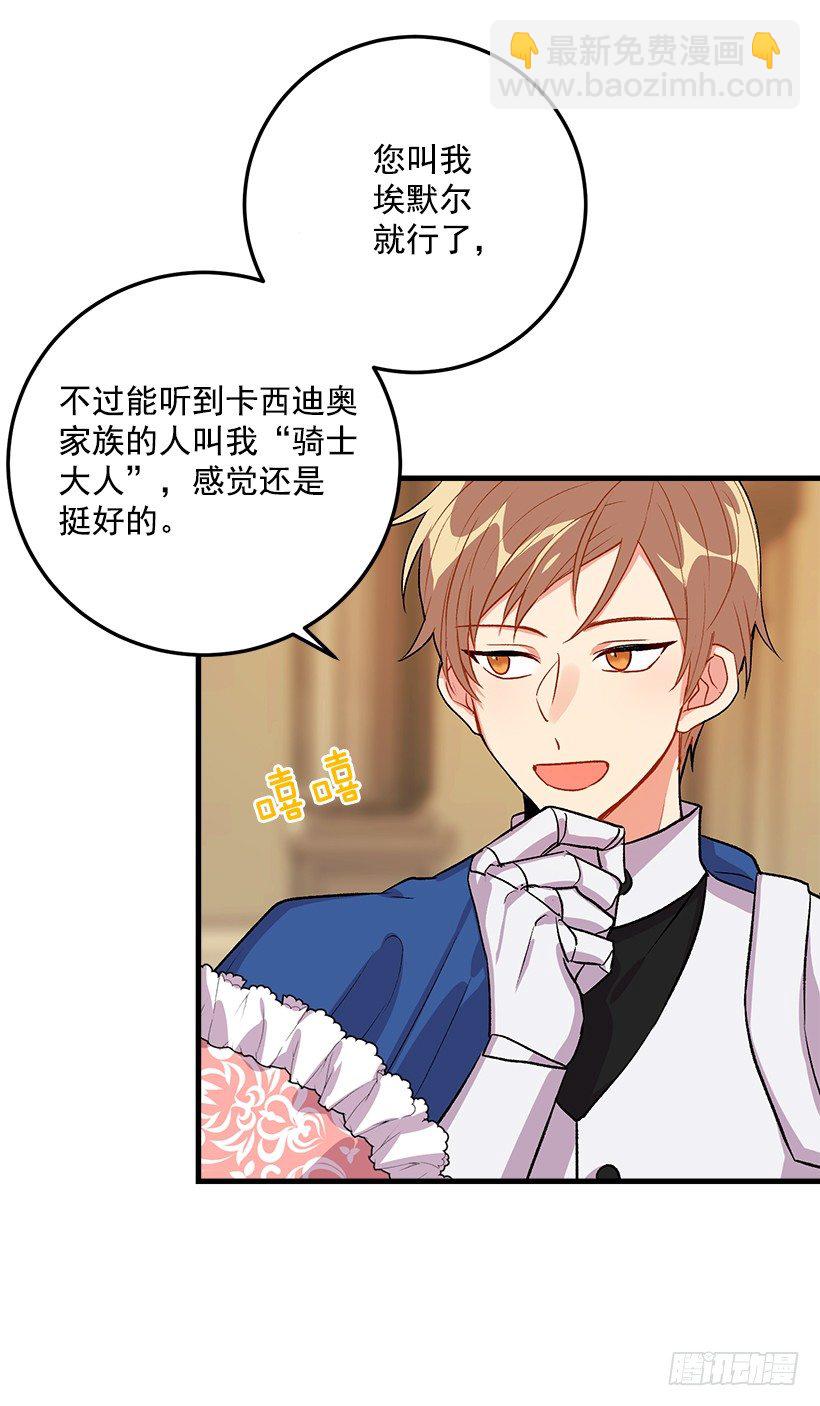 贴身骑士埃默尔4