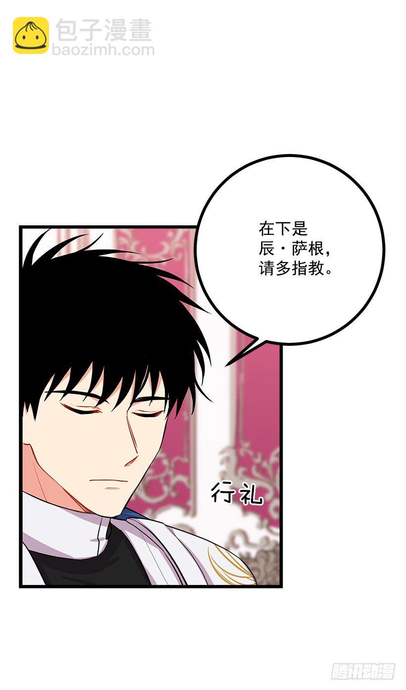 新护卫26