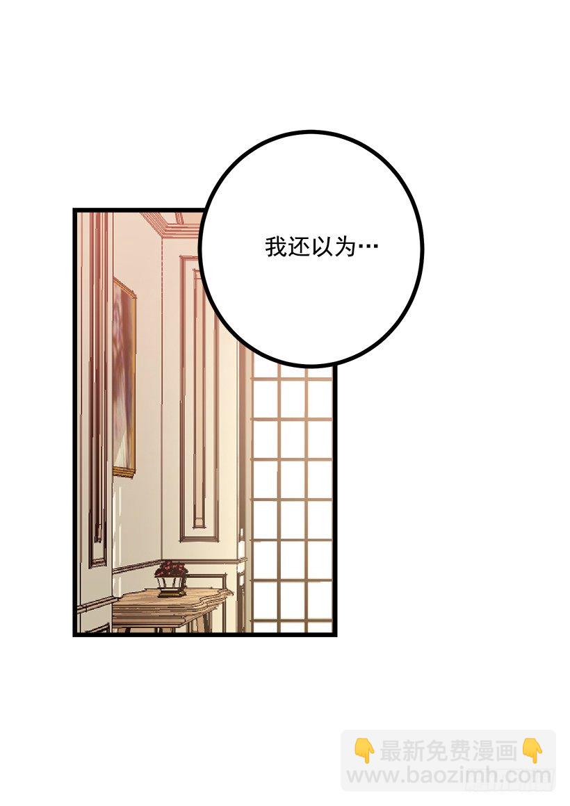 新护卫41