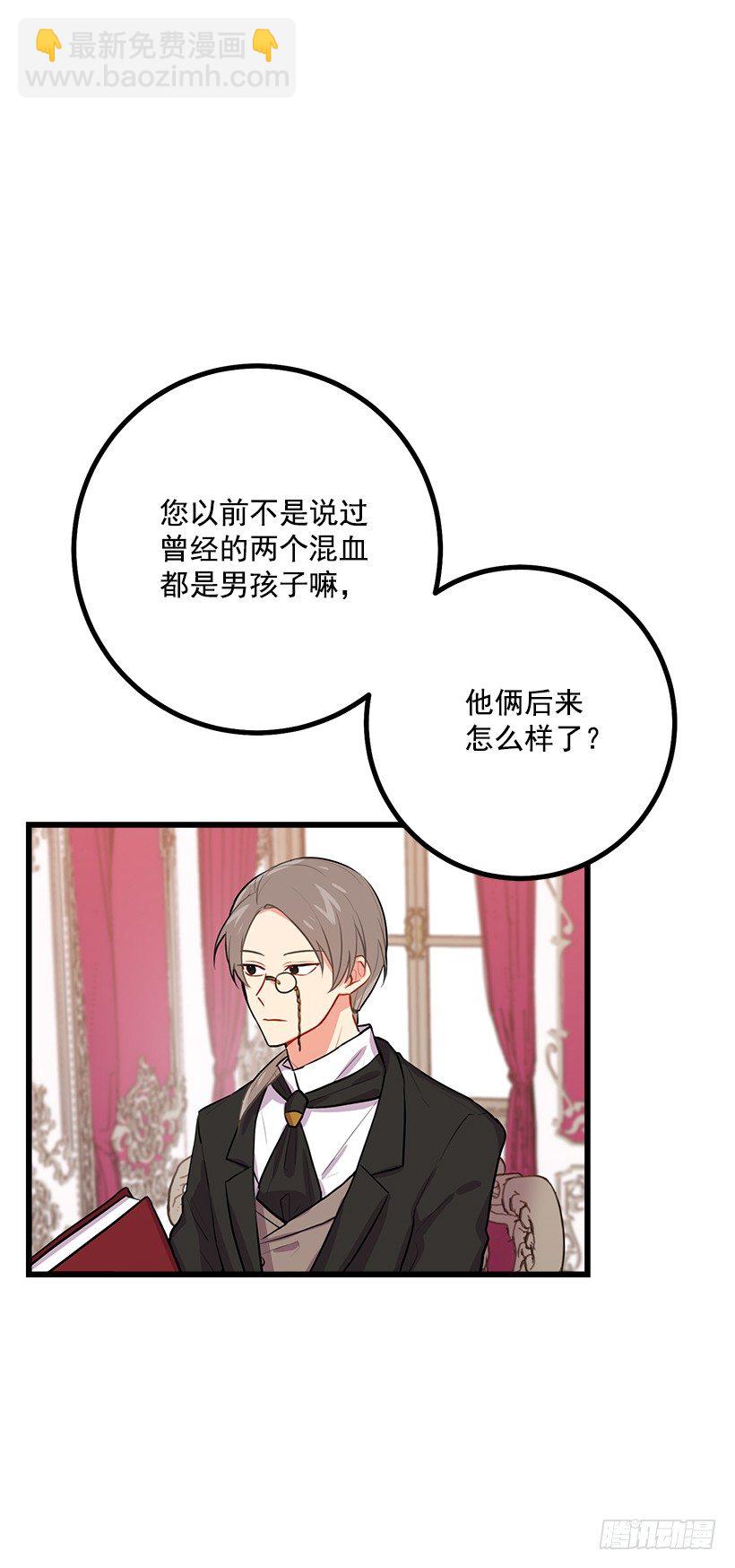 混血的命运28