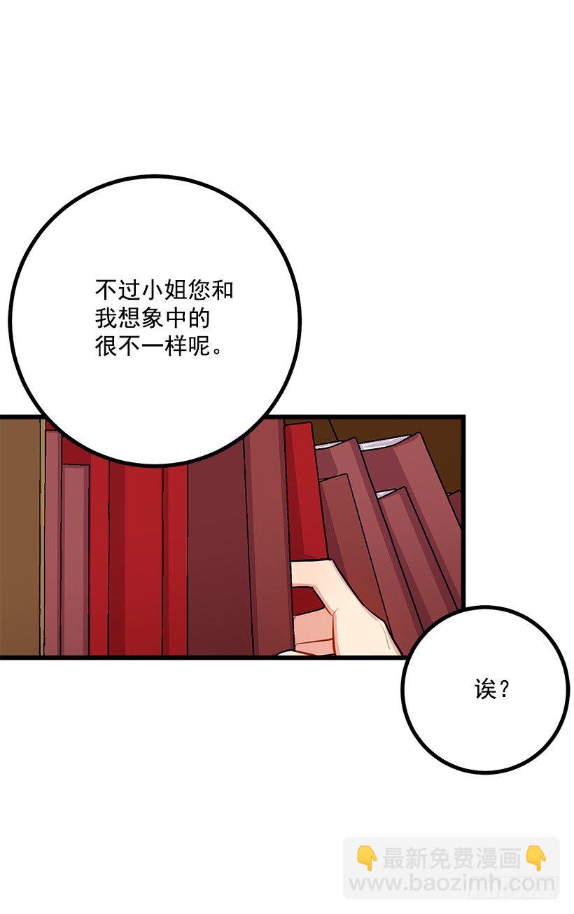 魔法师与魔法师塔31