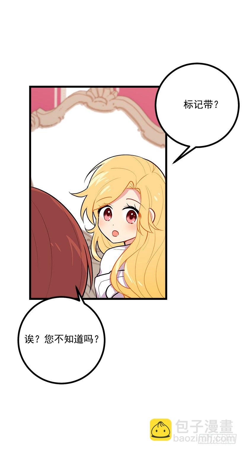 狩猎大会的标记带30