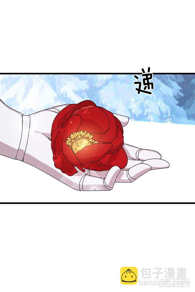 64.黑狼骑士团43