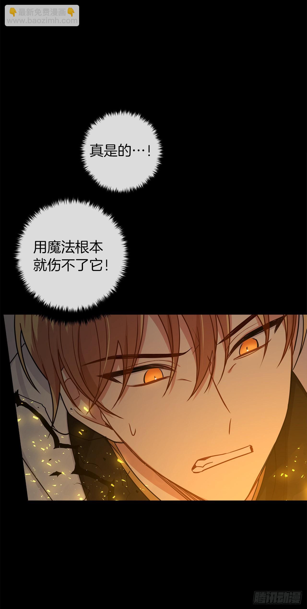 222.怪物的弱点12