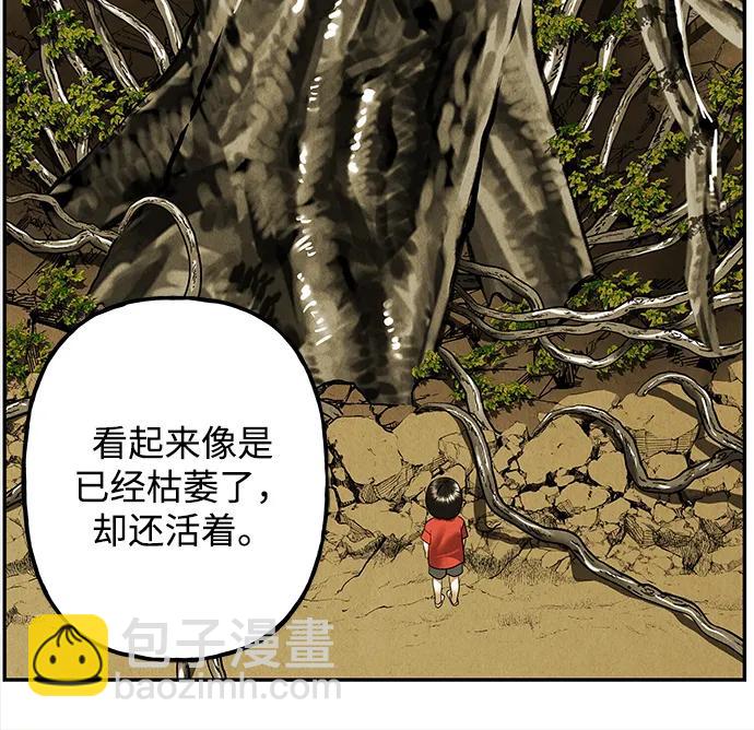 [第195] 666（11）13