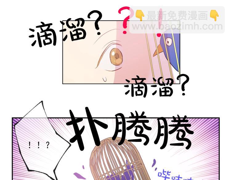 第41话 公主身上的诅咒7