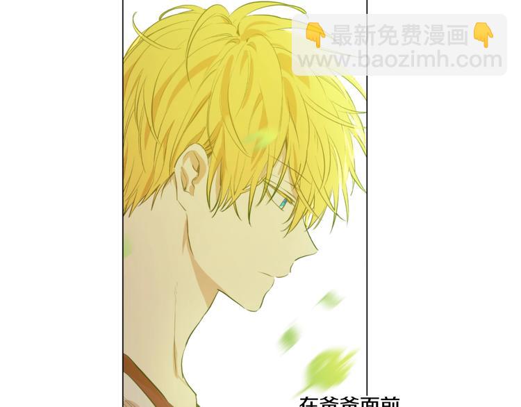 第44话 萌公主的愿望32