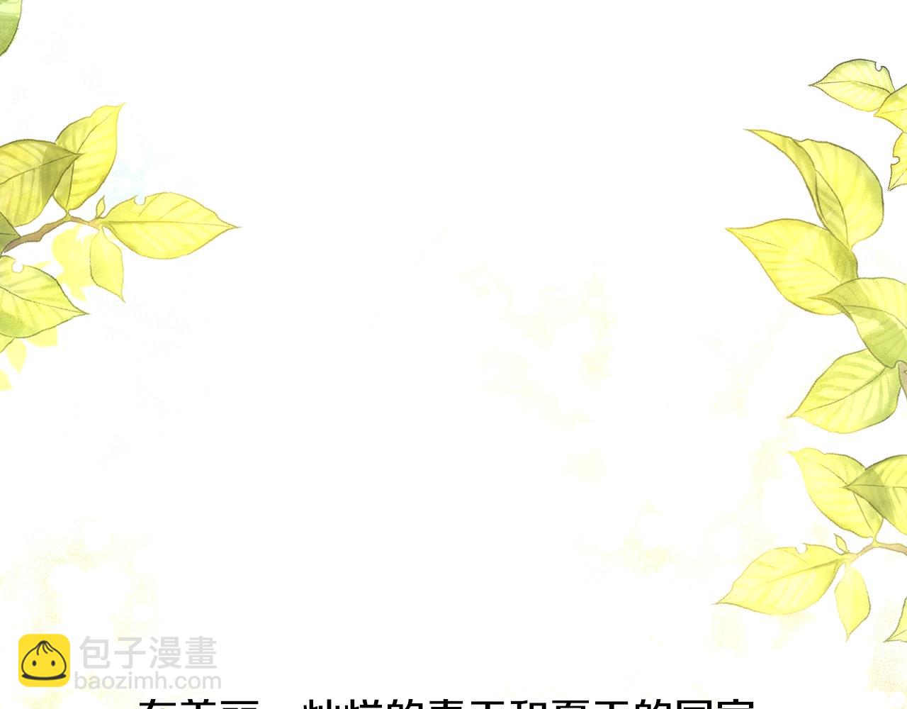完结篇 她的道路215