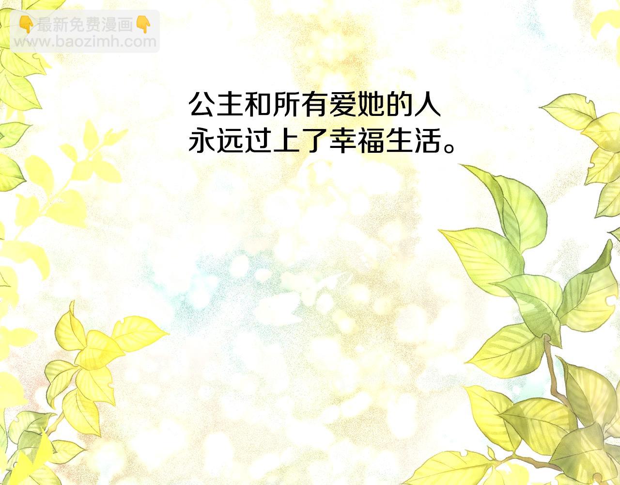 完结篇 她的道路217