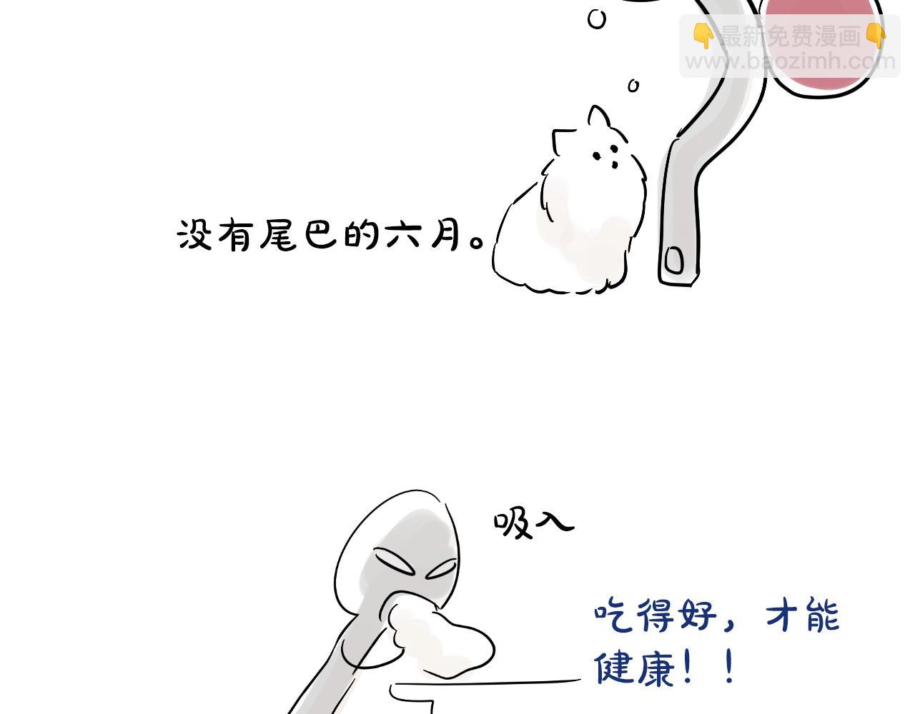 完结篇 她的道路271