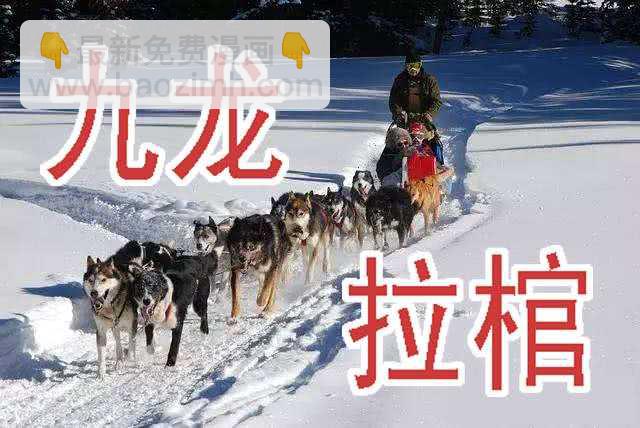 慕小炮13