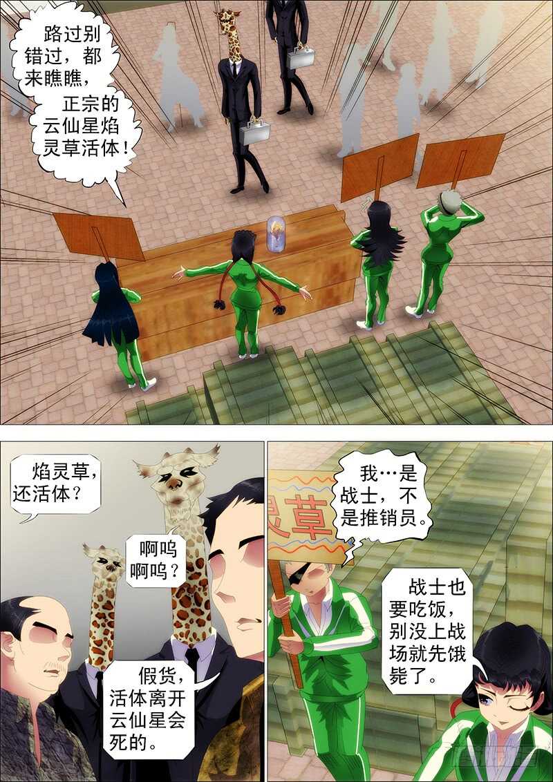 掉毛金乌不如鸡0