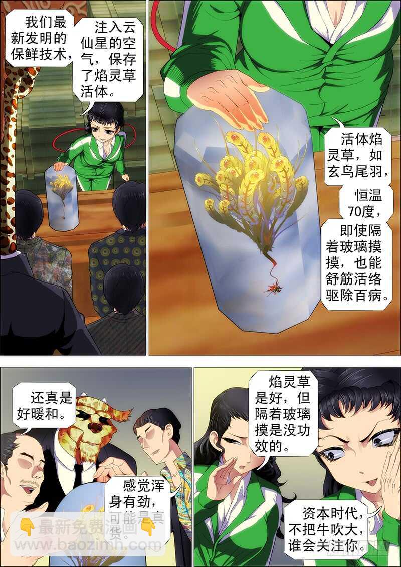 掉毛金乌不如鸡2