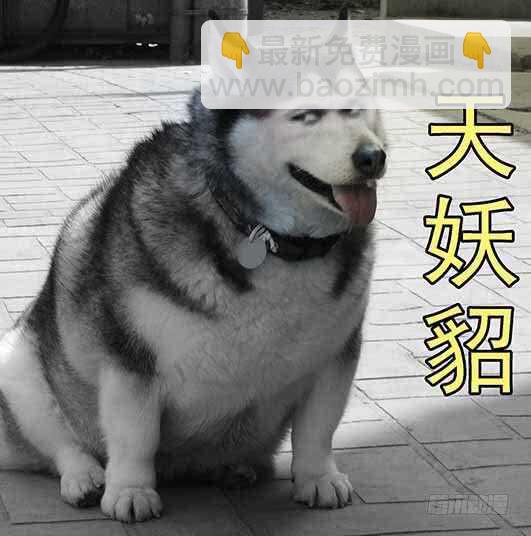 慕总管、慕同学14