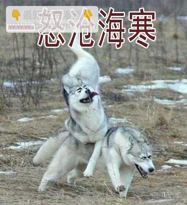 恶龙已死，唯我最强15