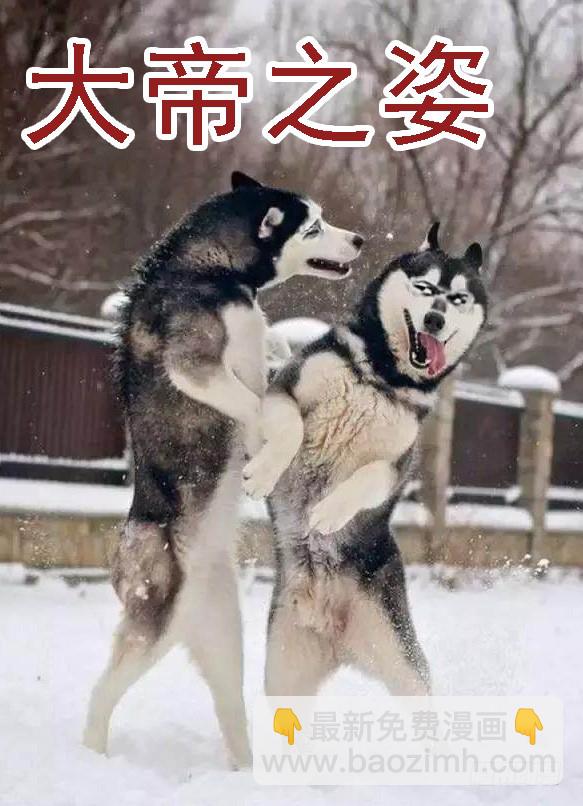 恶龙密谋14