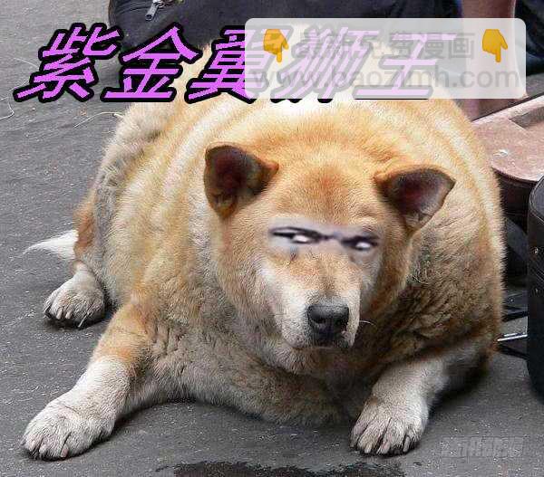 不该出手不出手15