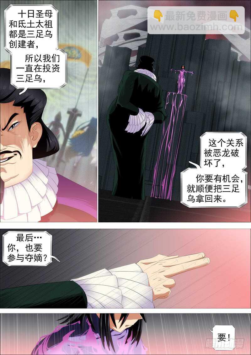 金乌火羽14