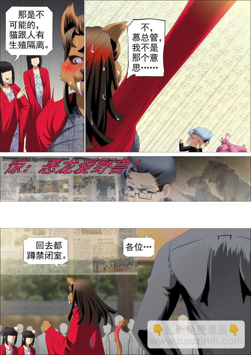 见龙卸甲10