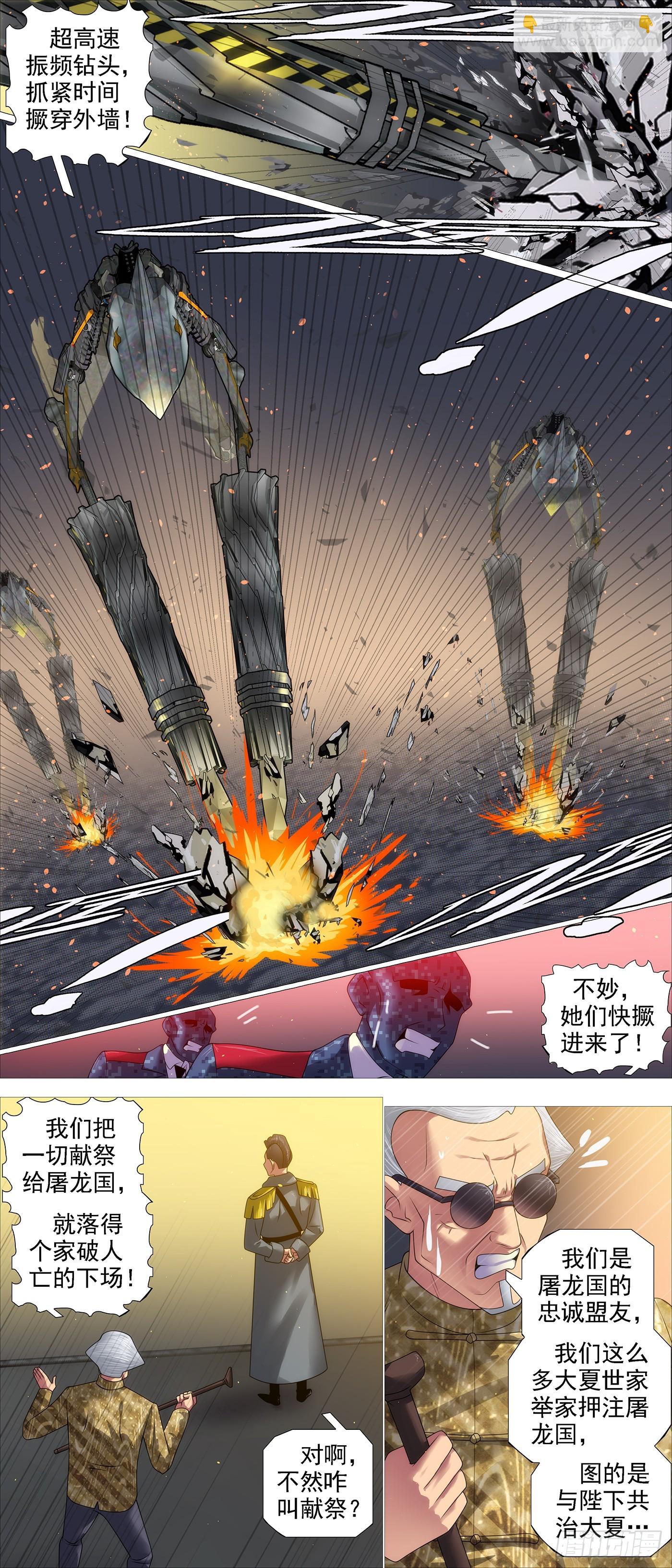 两条狗9
