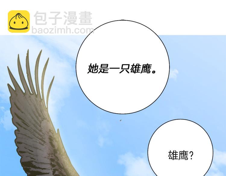 第91话 雄鹰132