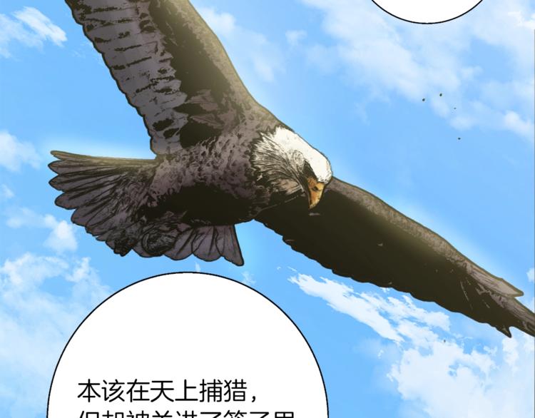 第91话 雄鹰133