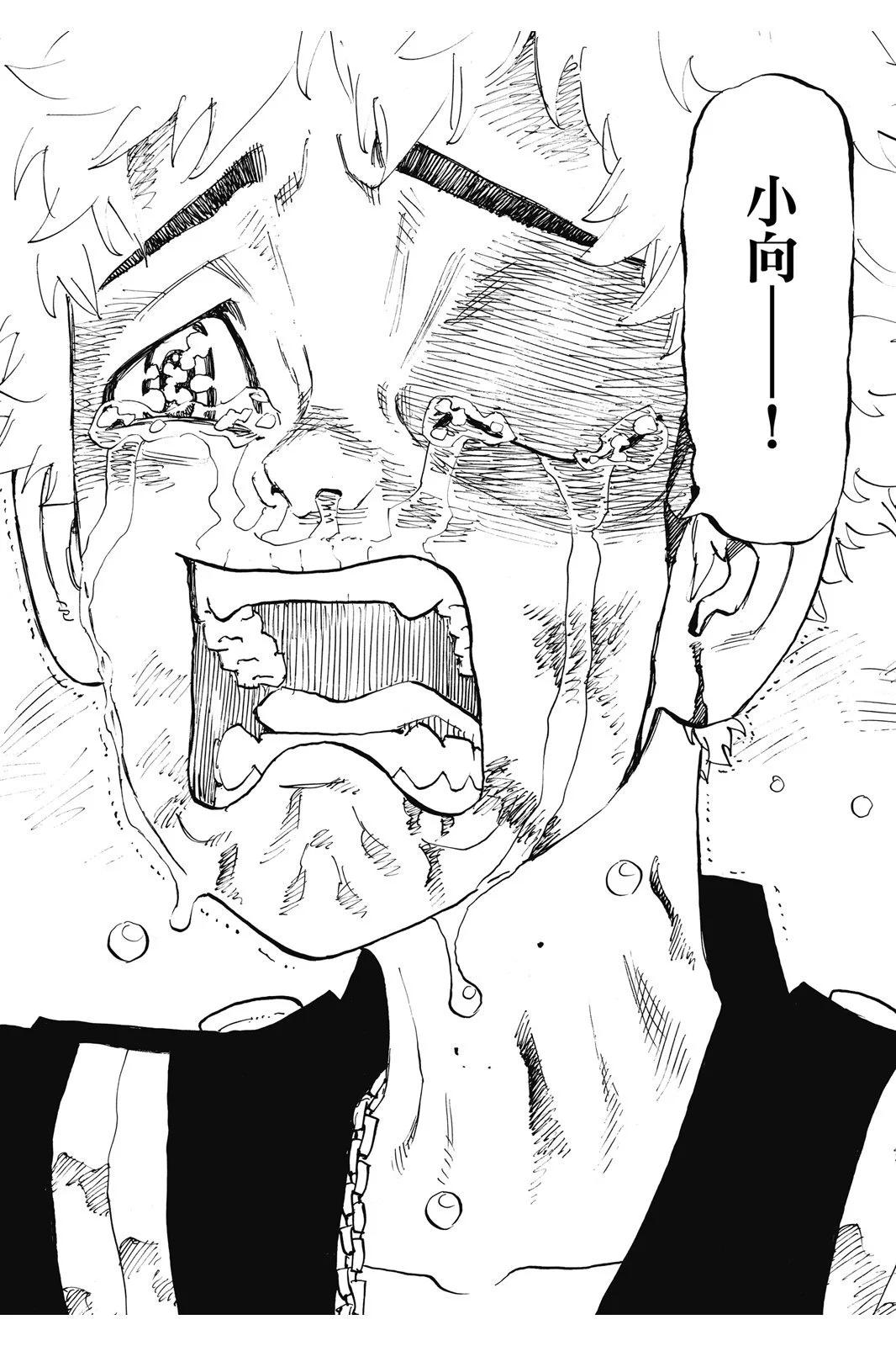 第13卷17