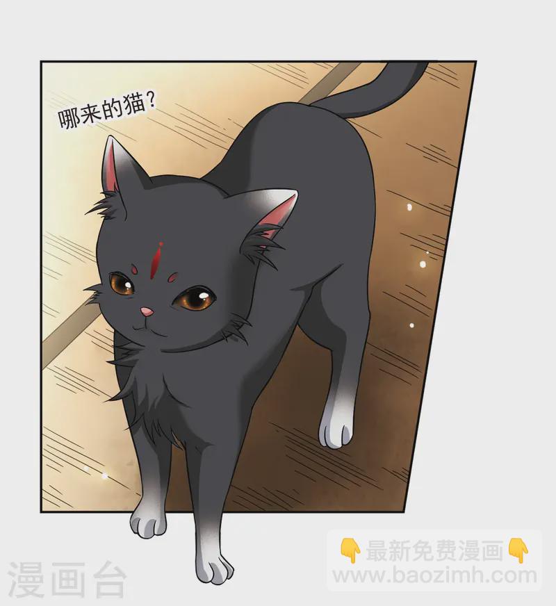 第228话 散心24