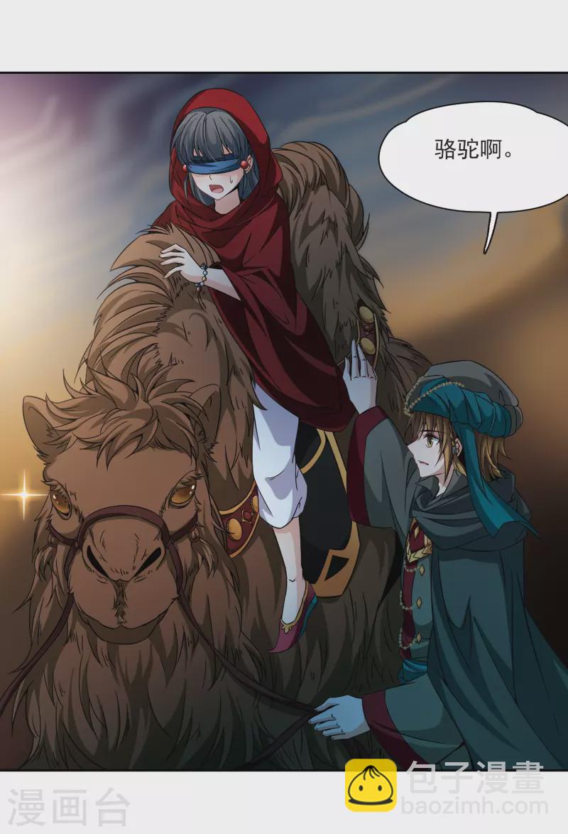 第332话 沙漠之夜27