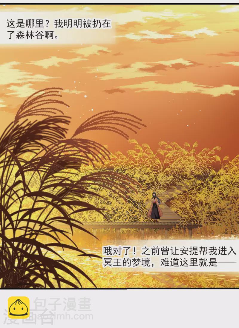 第416话 冥王的梦境21