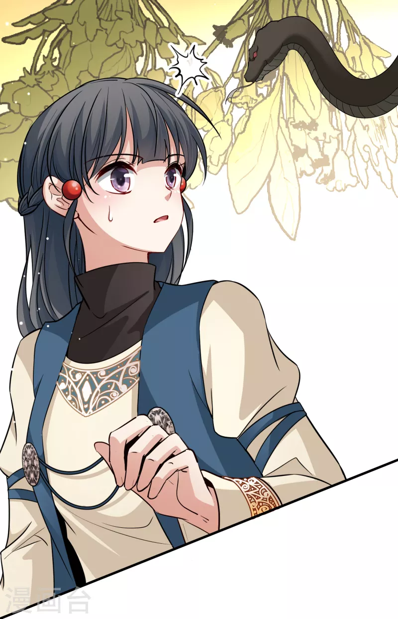 第2季第46话 维卡的秘密123