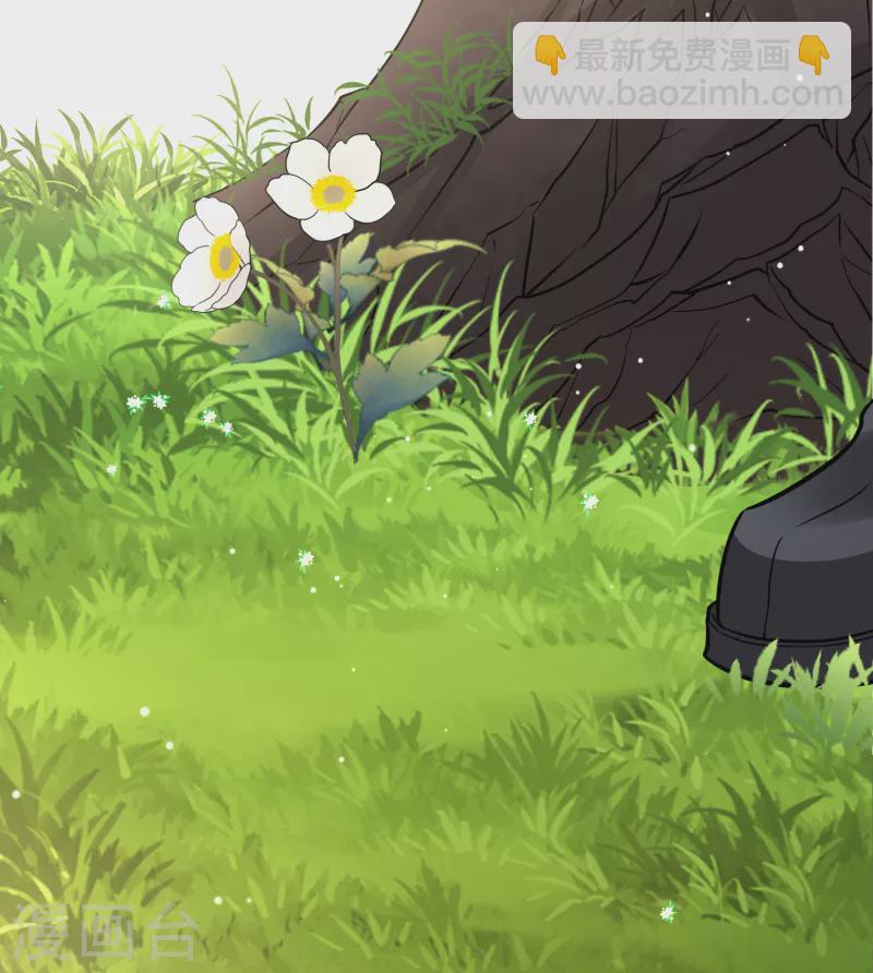 第2季第49话 维卡的秘密48