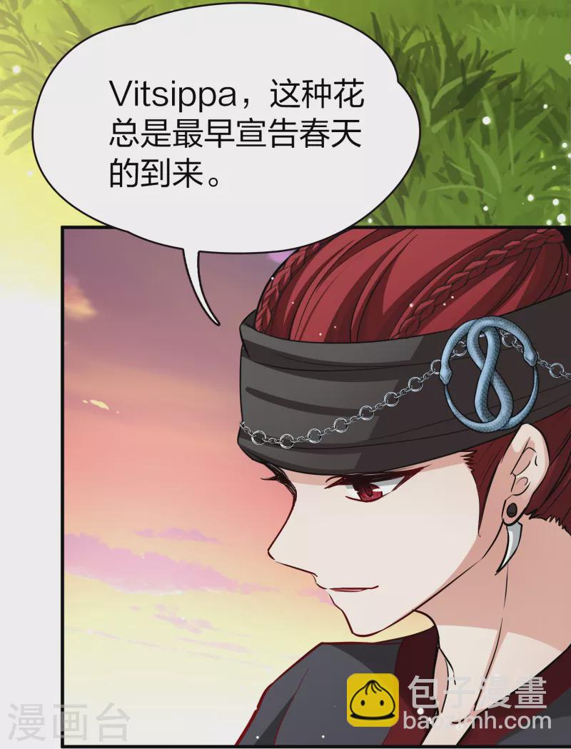 第2季第49话 维卡的秘密49