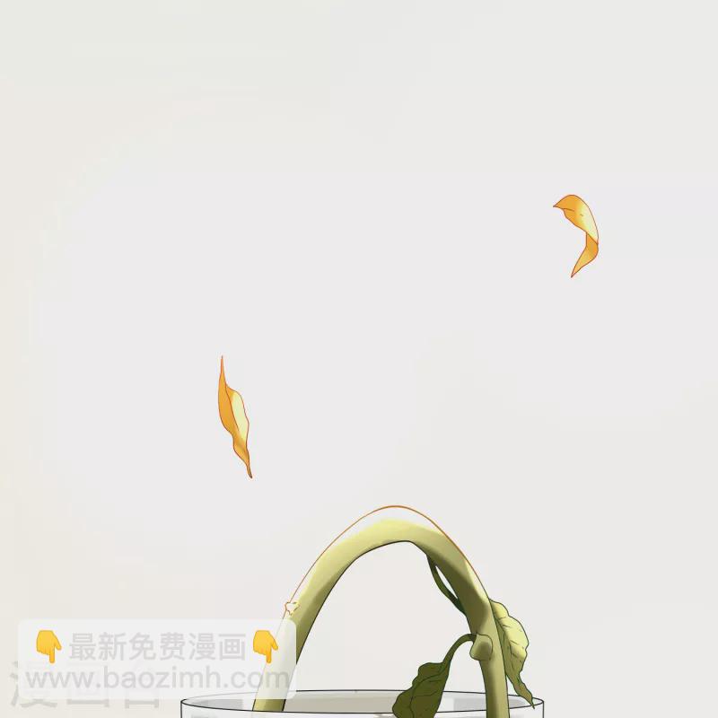 第2季第133话 向日葵花语555