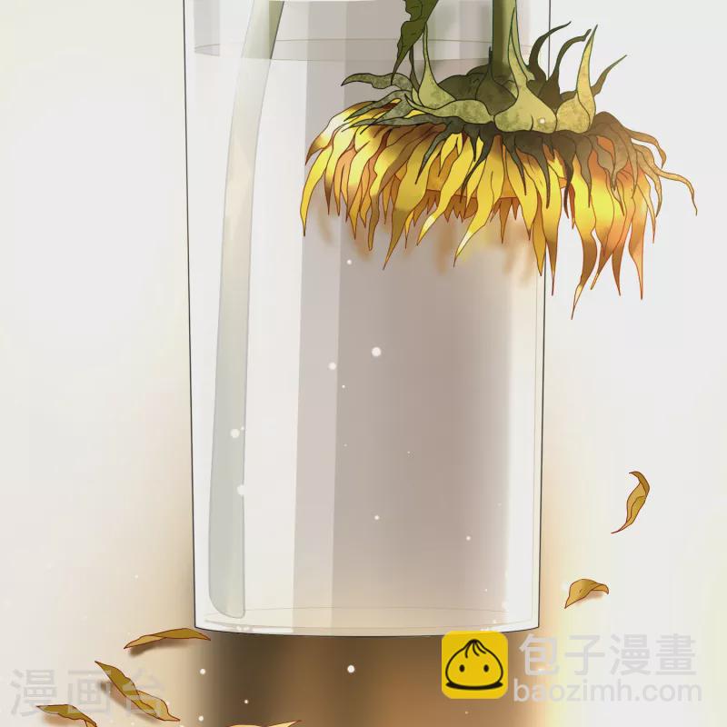 第2季第133话 向日葵花语556