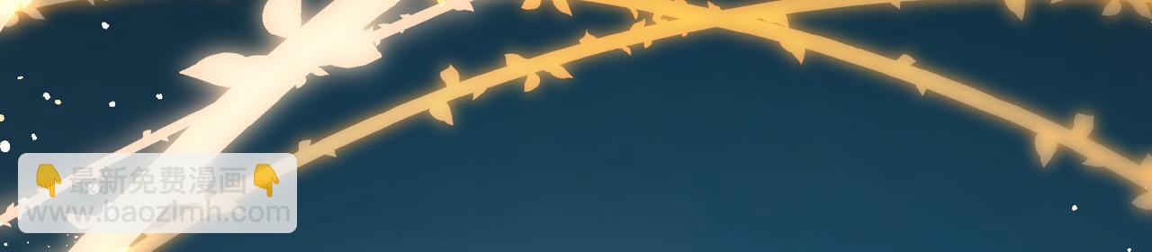 第2季第257话 光精灵族的真面目341