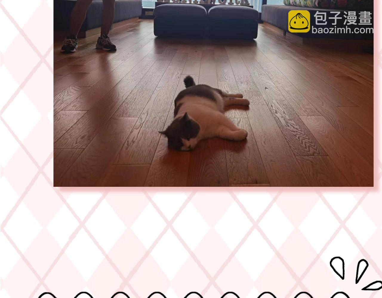 第6期 肝画的日常（日更中）11