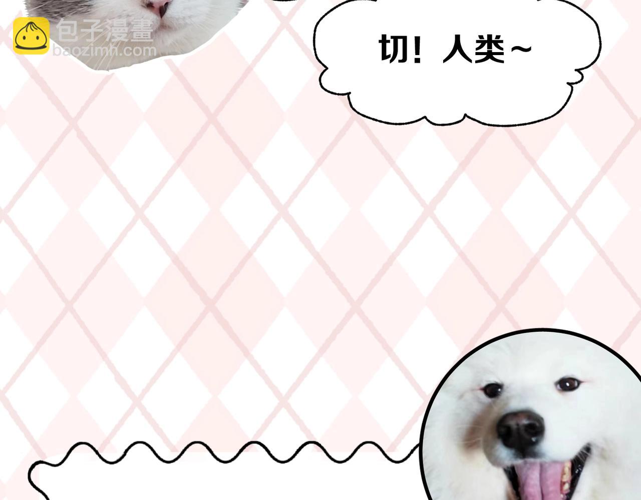 第6期 肝画的日常（日更中）28