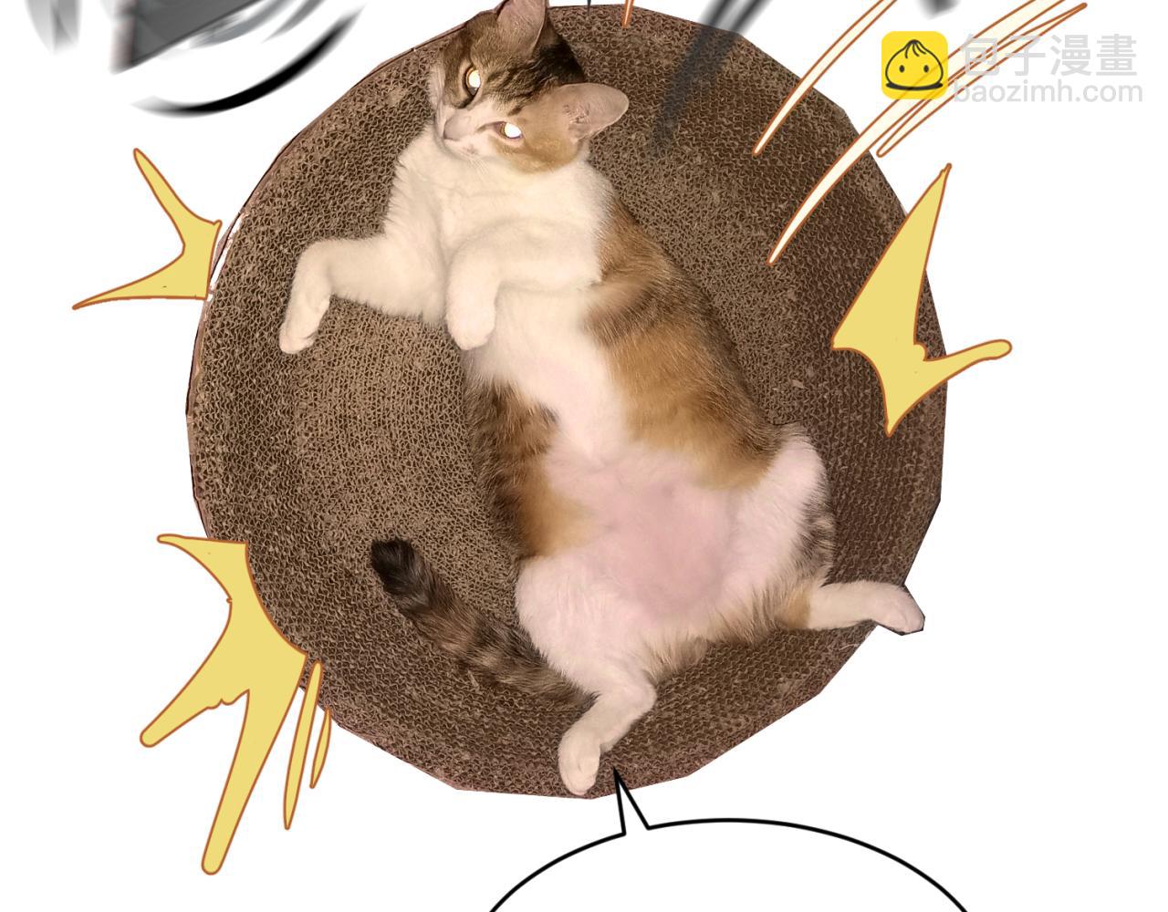 第17期 绘画小课堂！（日更中）28