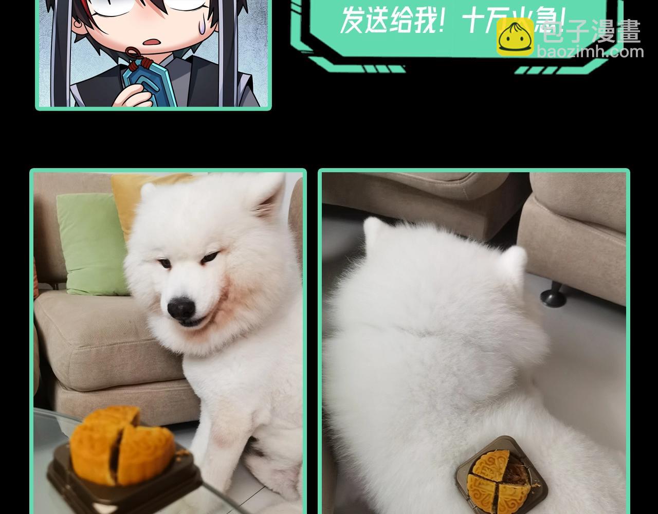 第54期 老婆喜欢的月饼口味（日更中）17